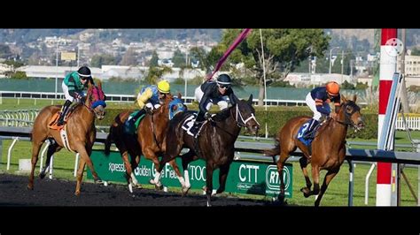 10 Races Today!! Metro Turf Tips .